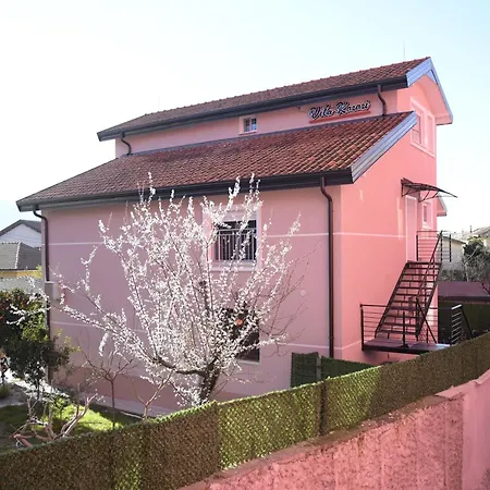 Kazazi - Premium Center - Exceptional Rated Shkodër